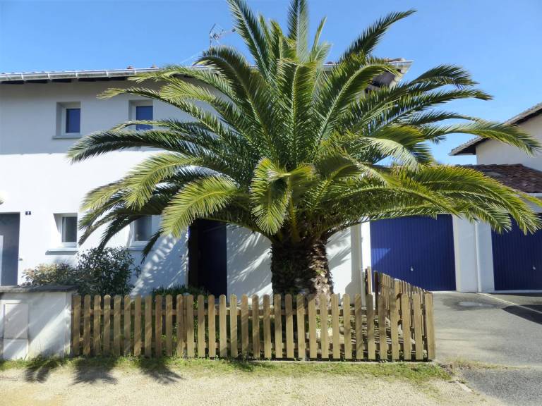House with BBQ | Pets allowed — photo 3