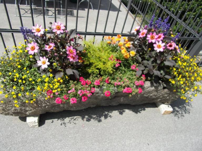 foto21