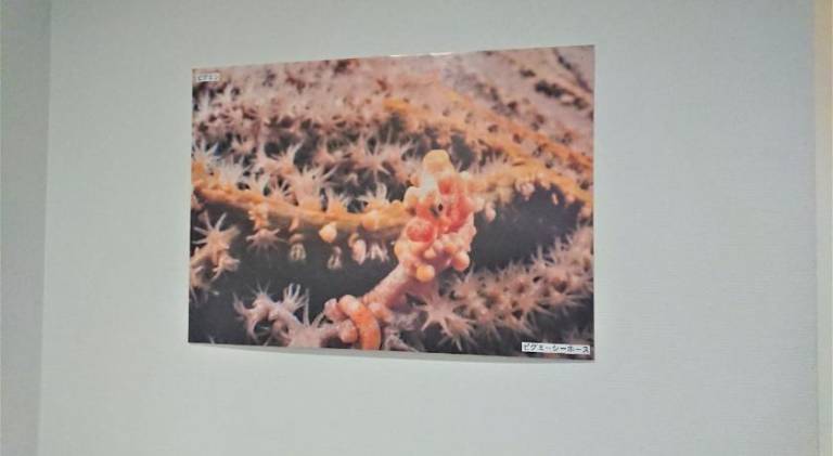 foto19