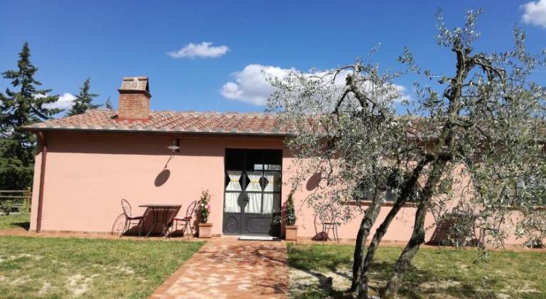 Farm with yard, pool & terrace in Palaia