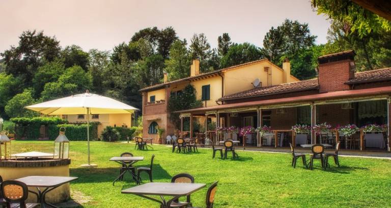 Podere Bucine Basso: CICLAMINO — photo 3