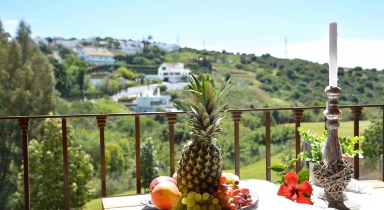 Fully equipped holiday apartment with patio, jacuzzi & pool | Good for workation | Dogs allowed — photo 4