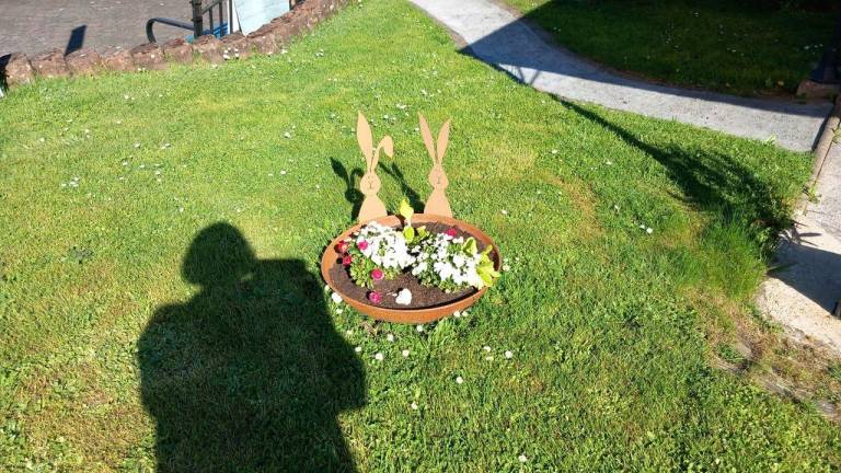 foto32