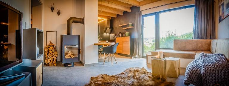 Modern chalet with sauna near Thuringian Forest — photo 2