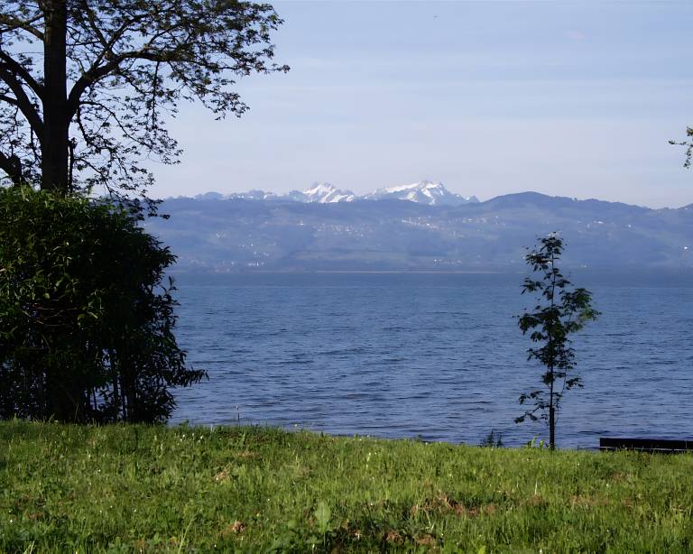 foto13