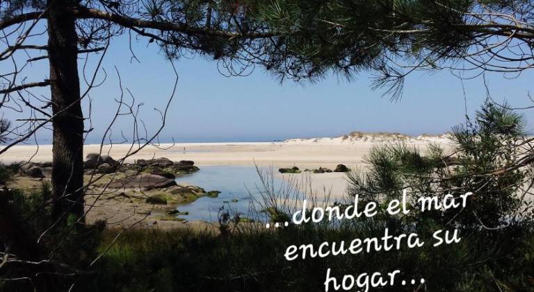 foto42