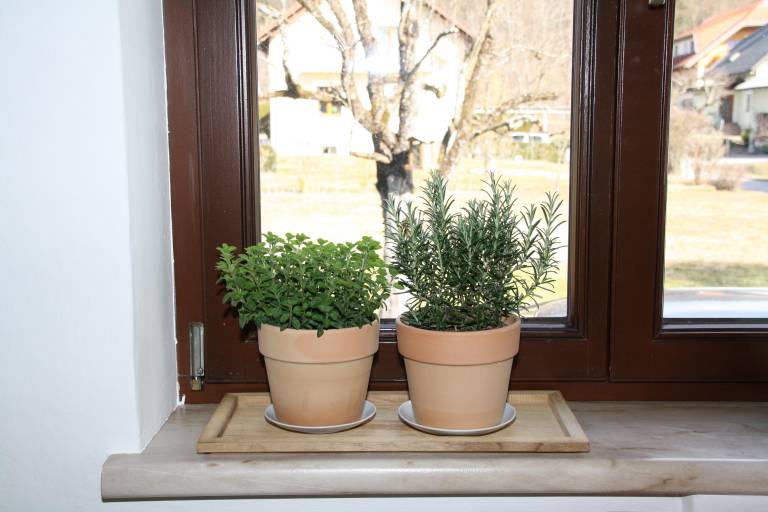 foto24
