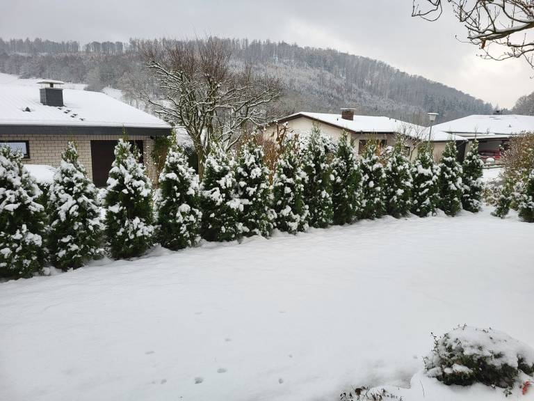 Ferienwohnung  Linse