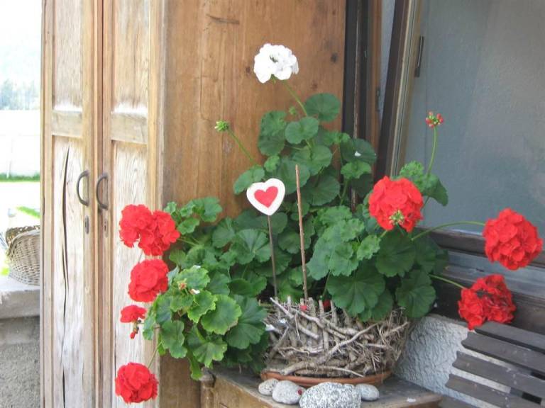 foto28