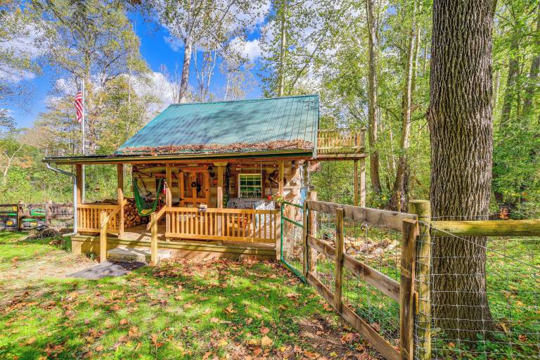 Cabin  Abingdon