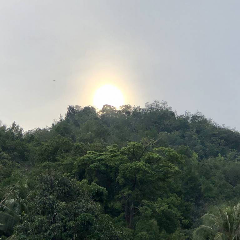 Dom  Penampang