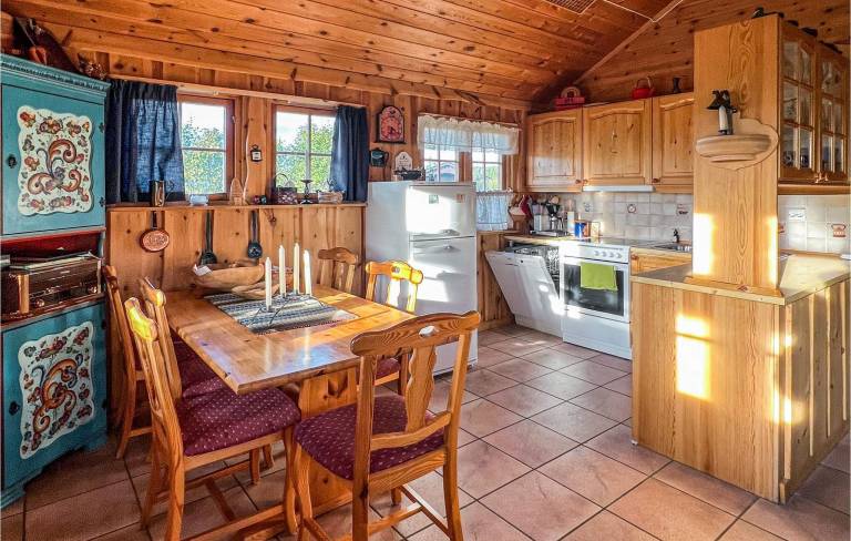Feriehus  Hovden i Setesdal