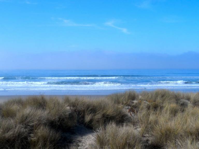 Condo Pajaro Dunes