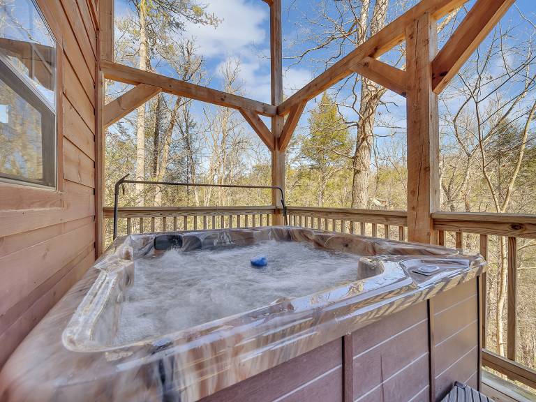 Private Hot Tub Seclusion Pool Table Pet Friendly — photo 2