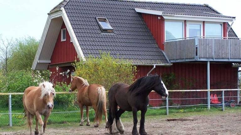 Ferienwohnung  Dabitz