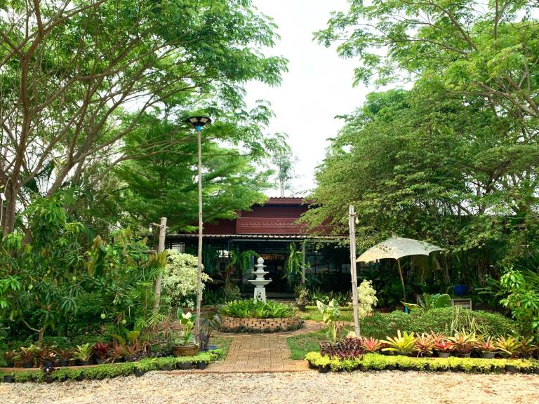 House with yard | Good for workation | Dogs allowed in Lampang