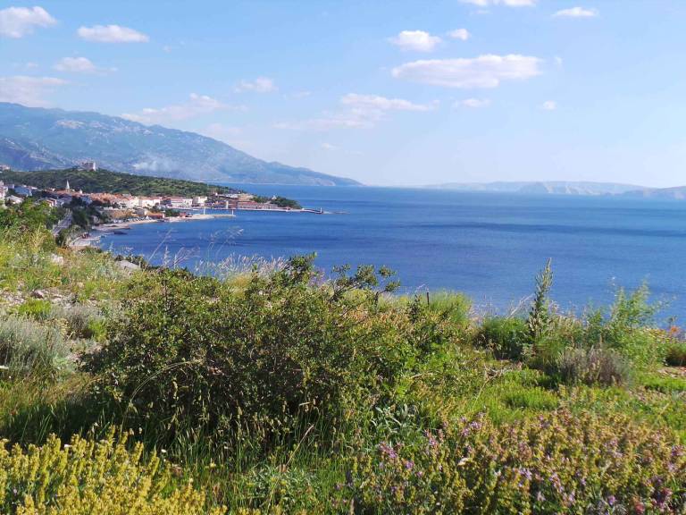 Holiday apartment near the sea — photo 2