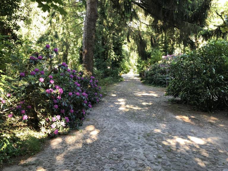 foto11