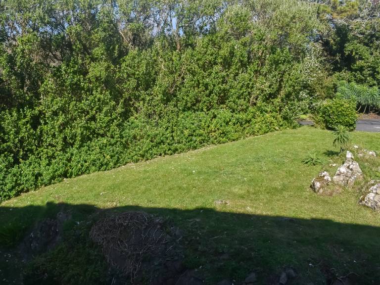 foto14