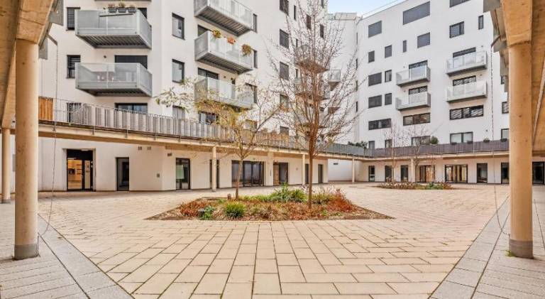 Wonderful rental apartment | Pets are welcome — photo 4