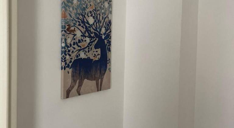 foto7