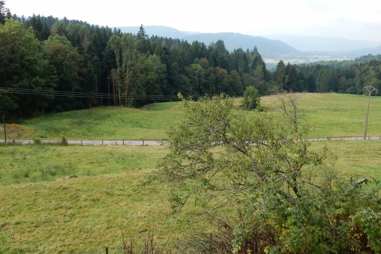 foto19