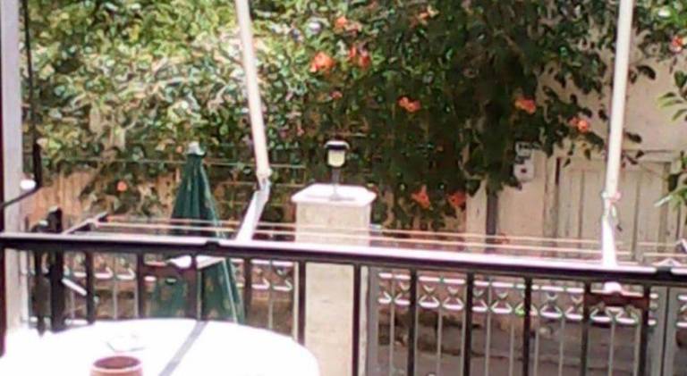 Apartment with terrace — photo 5