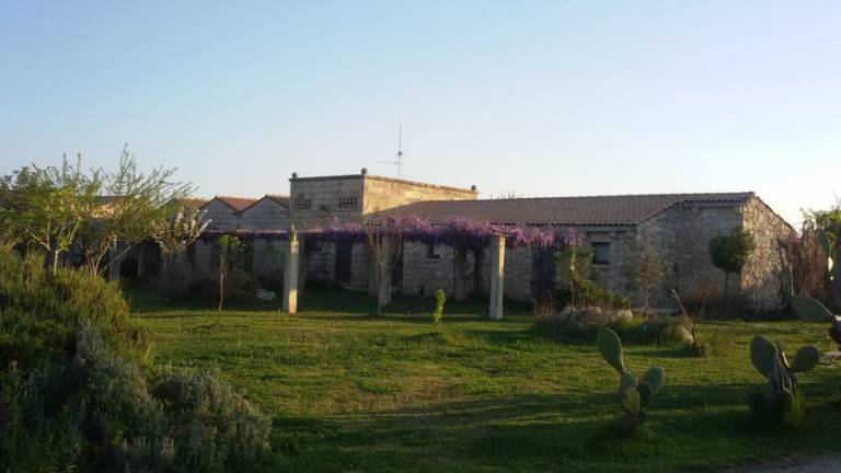 foto8
