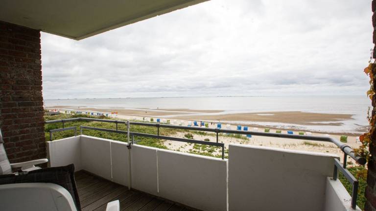 Ferienwohnung mit Hund in Wyk auf Föhr, Nordsee für max. 2 Personen