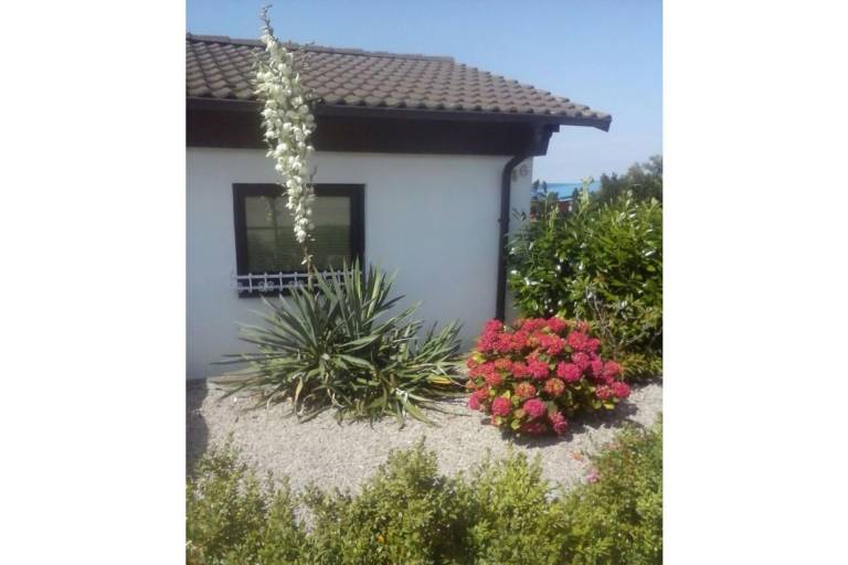 House with garden, patio & barbecue — photo 4