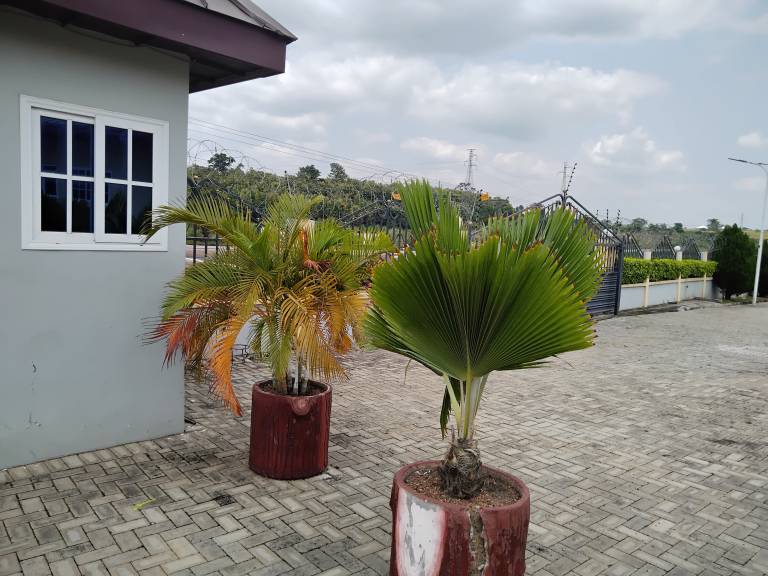 Renajoe Exclusive Centre — photo 4