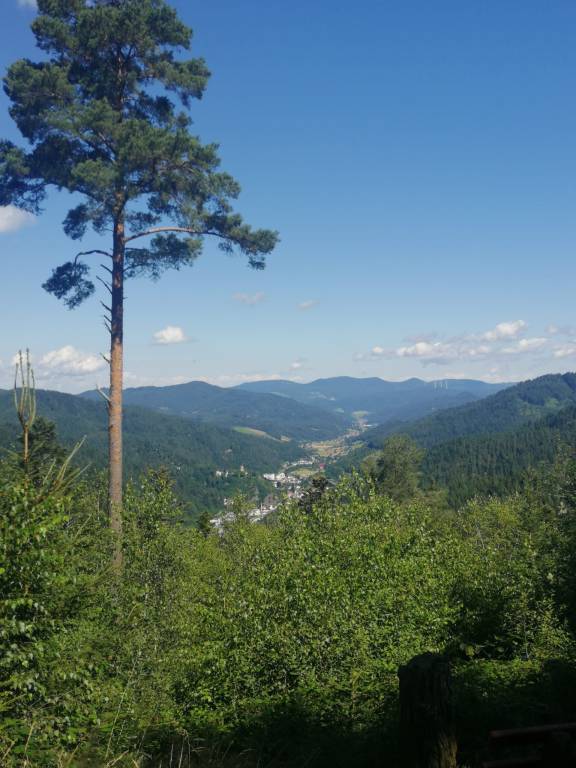 foto20