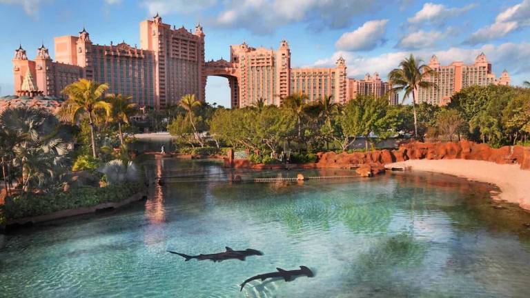 House Paradise Island