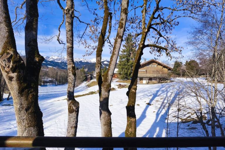 Family-friendly holiday apartment with patio & yard | Dogs allowed in Combloux
