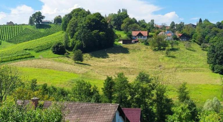 foto21
