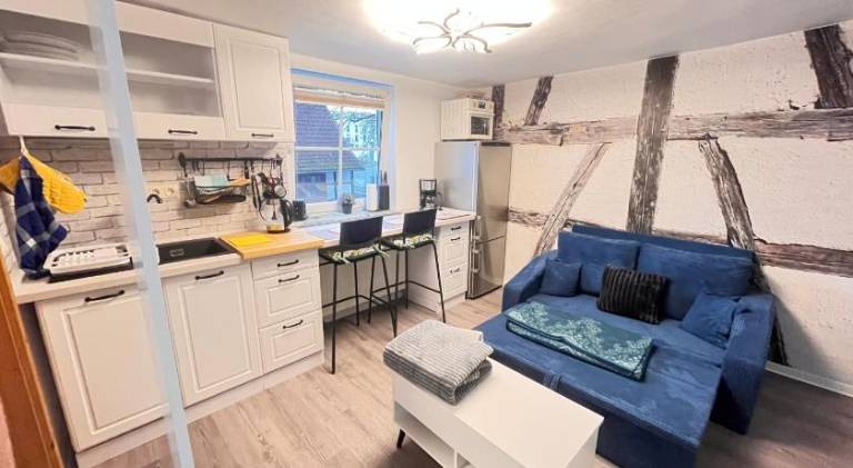 Lovely apartment with pool | Pet-friendly in Erfurt