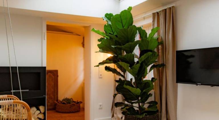 Vacation home with 2 rooms for 3 persons — photo 2