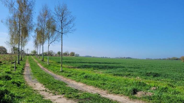 foto15