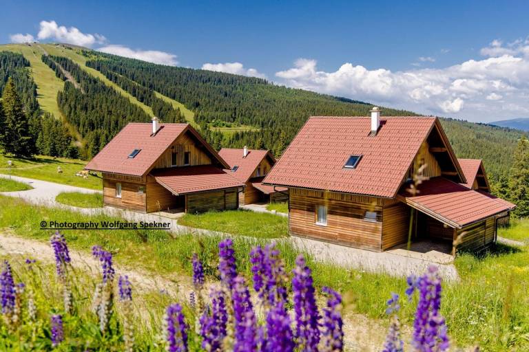 Nice vacation home with terrace, yard & sauna | Close to the ski | Pets allowed — photo 3