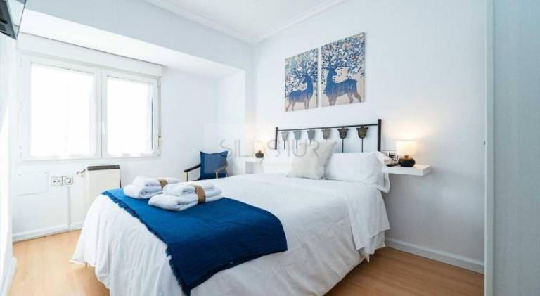 Apartment | Dogs allowed in Gijon