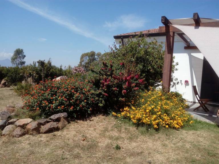 foto29