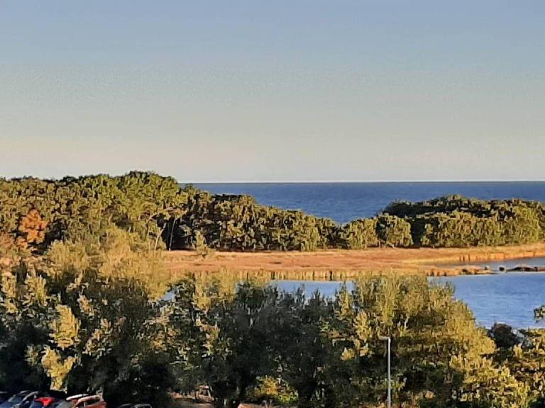 foto21