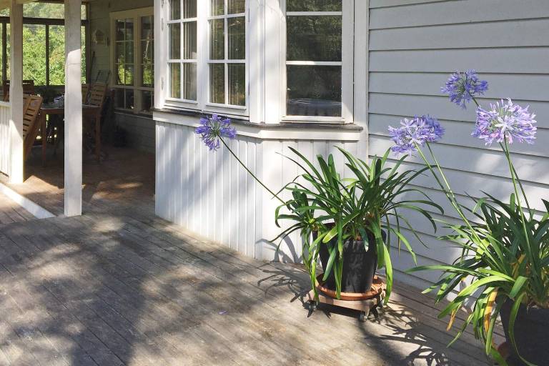 House with patio & yard — photo 2