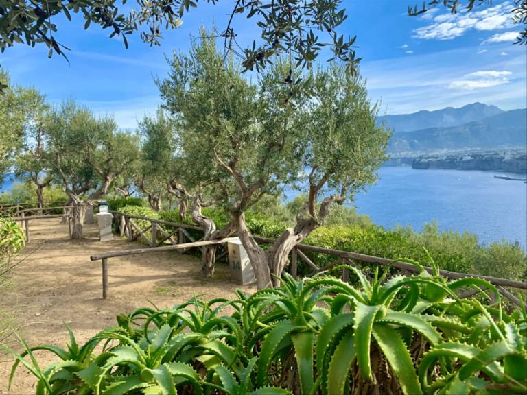 Mobilheim  Sorrento