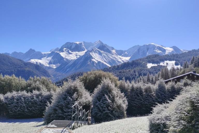 Children-friendly holiday apartment with pool | Next to the ski | Dogs allowed — photo 3