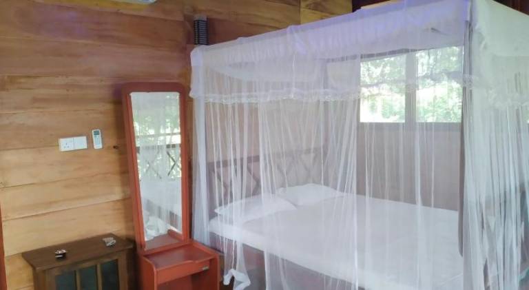 GREEN HERBAL Ayurvedic Eco-Lodge — photo 2
