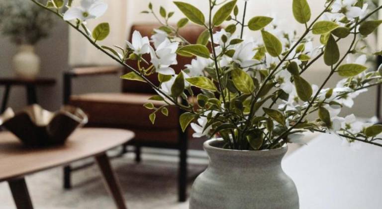 Apartment | Pets are welcome — photo 4