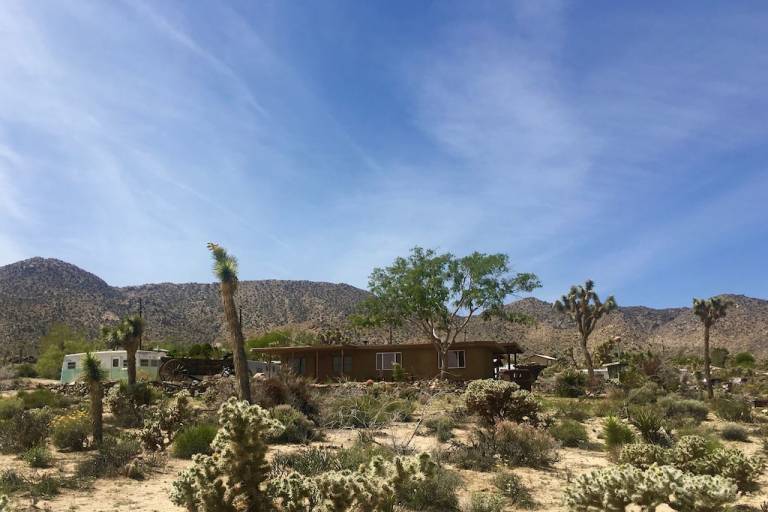 House Joshua Tree