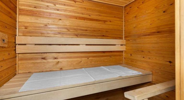 Apartment with sauna — photo 5
