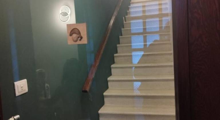 foto19